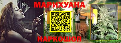 крисы Нальчик
