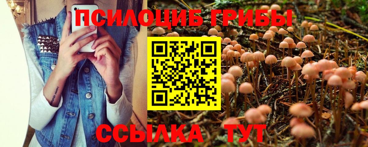 Усинск  купить   Вход с VPN  Псилоцибиновые грибы мицелий 