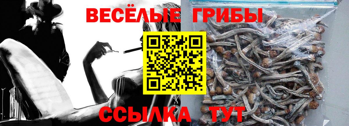 Галлюциногенные грибы Psilocybe Усинск